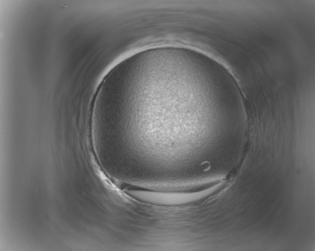 X0000078861534200611201300