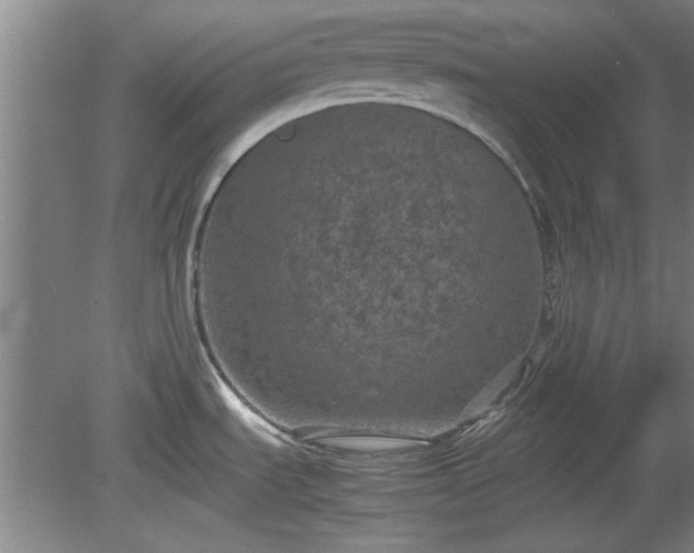 X0000078861535200611201300