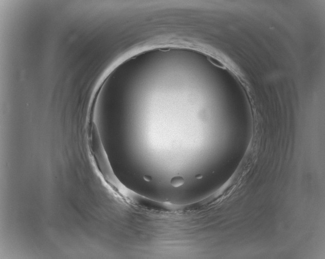 X0000078861536200611201300