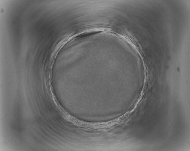 X0000078860001200611271423