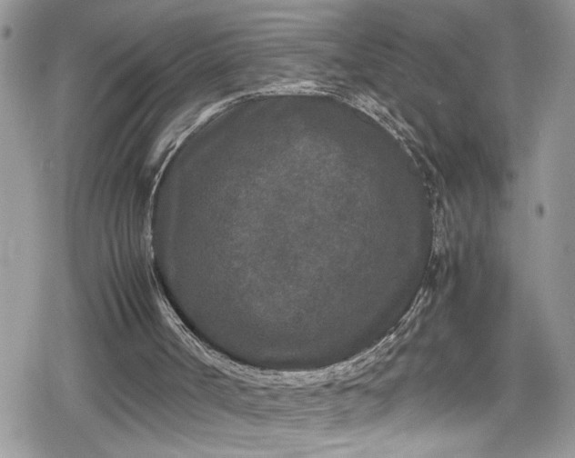 X0000078860002200611271423