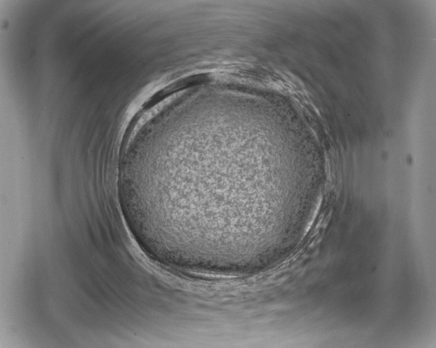 X0000078860003200611271423