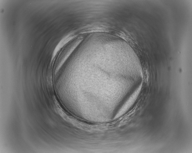 X0000078860004200611271423