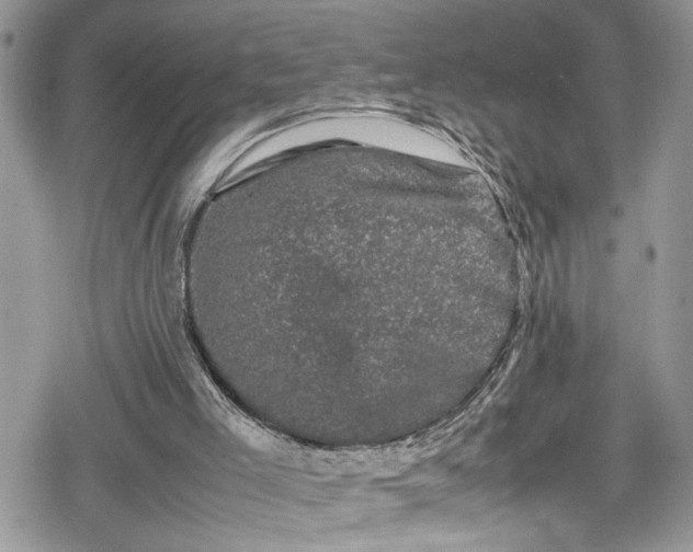 X0000078860005200611271423