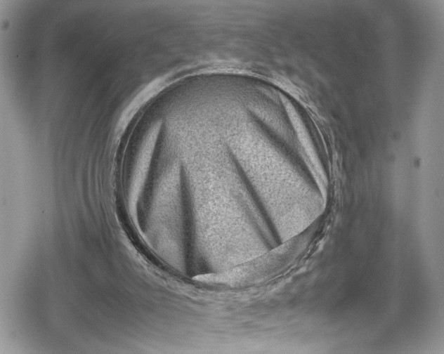 X0000078860007200611271423