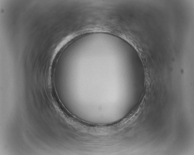 X0000078860008200611271423