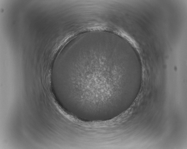 X0000078860009200611271423