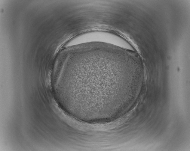 X0000078860010200611271423