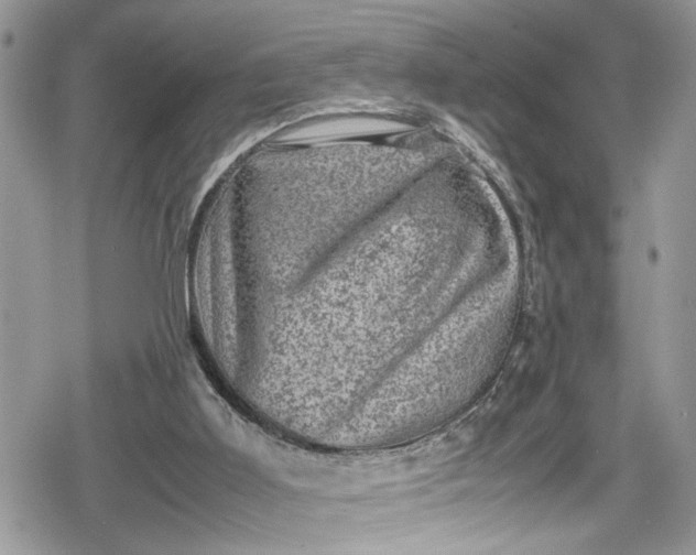 X0000078860011200611271423