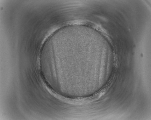 X0000078860012200611271423