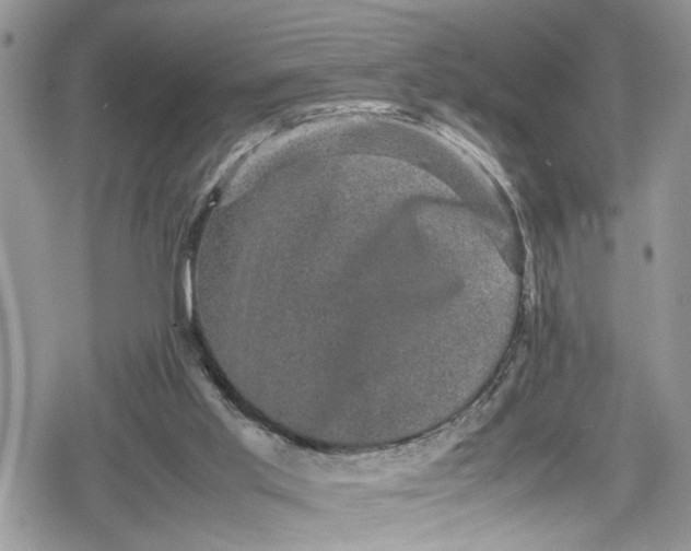 X0000078860013200611271423