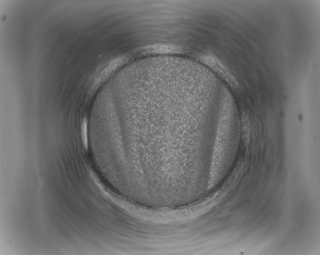 X0000078860014200611271423