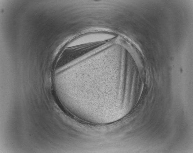 X0000078860015200611271423