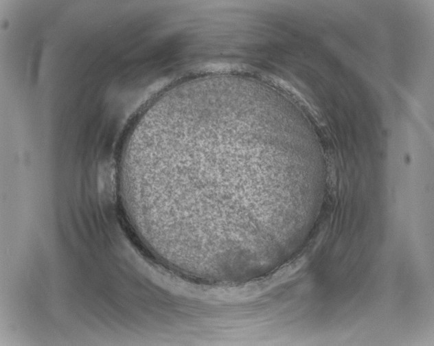 X0000078860016200611271423