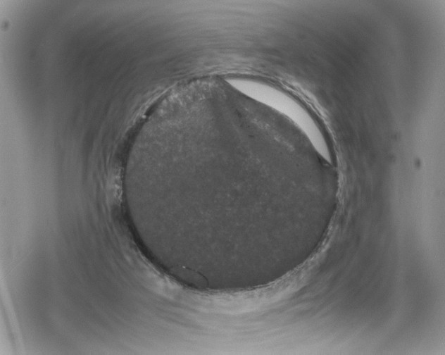 X0000078860017200611271423