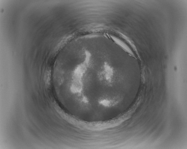 X0000078860018200611271423