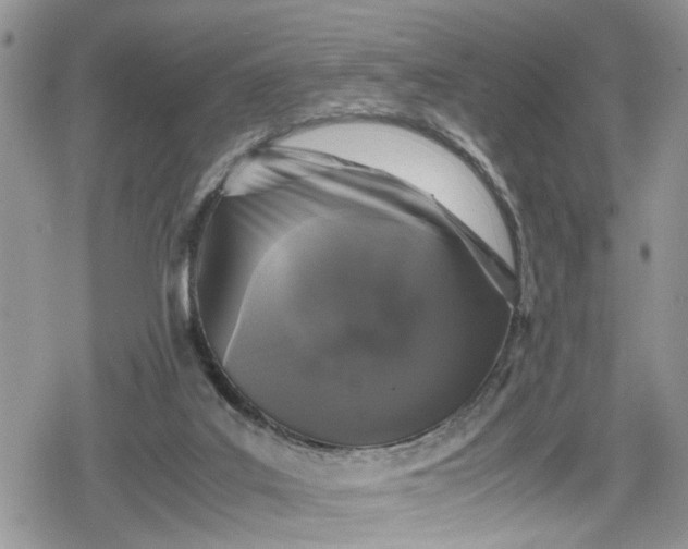 X0000078860019200611271423