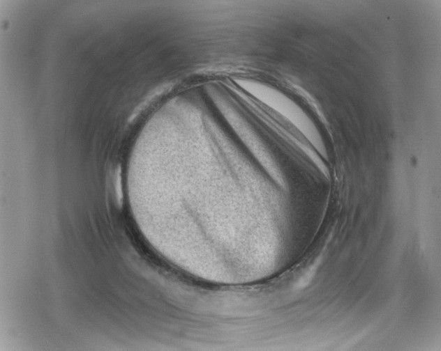 X0000078860020200611271423