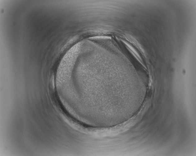 X0000078860021200611271423