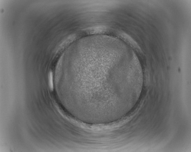 X0000078860022200611271423