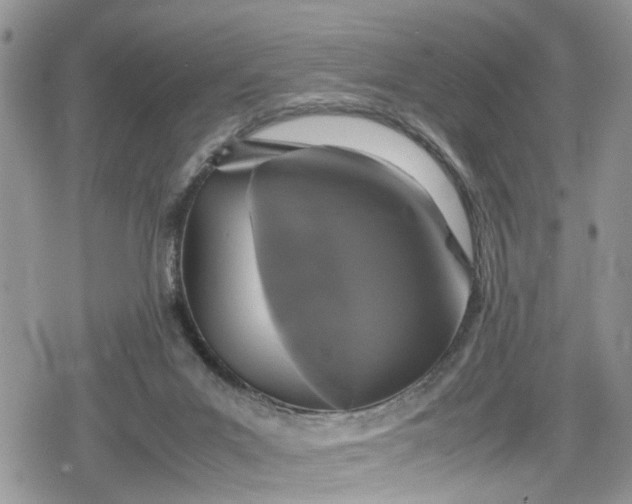 X0000078860023200611271423