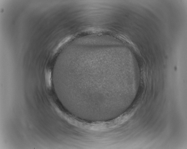 X0000078860024200611271423