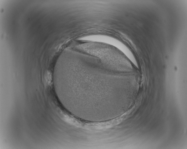 X0000078860025200611271423