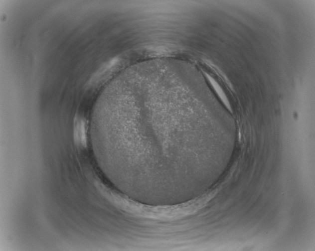 X0000078860026200611271423