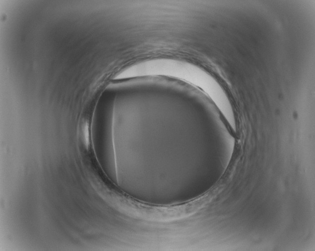 X0000078860027200611271423