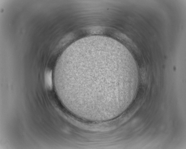 X0000078860028200611271423