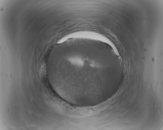 X0000078860029200611271423