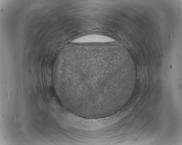 X0000078860030200611271423