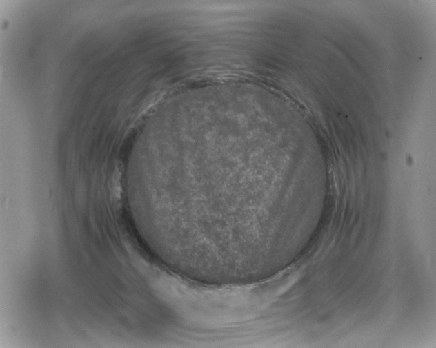 X0000078860032200611271423