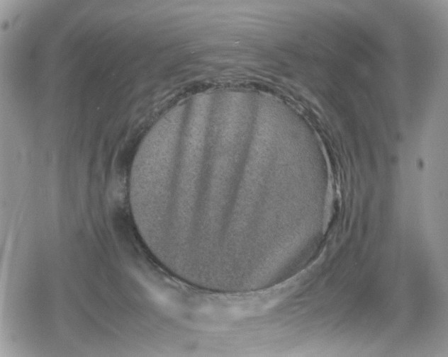 X0000078860033200611271423