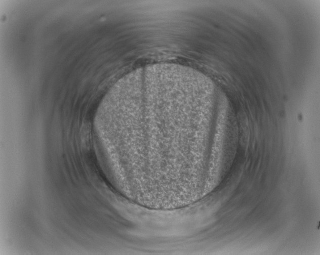 X0000078860034200611271423