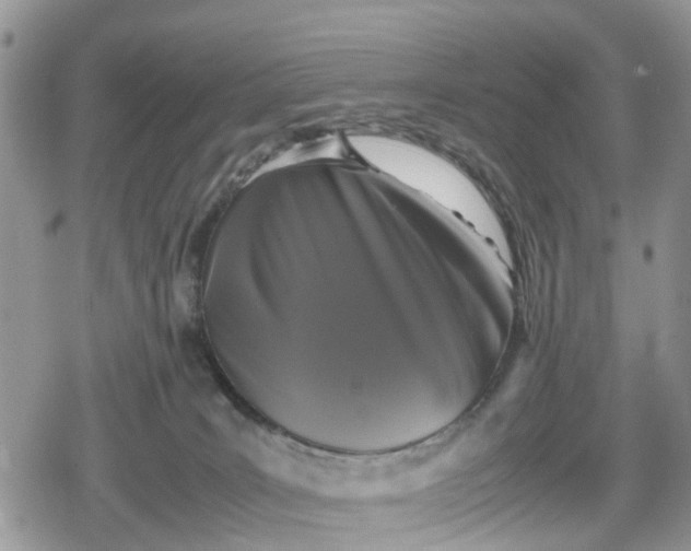 X0000078860035200611271423