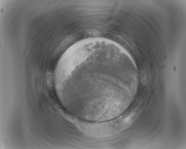 X0000078860036200611271423