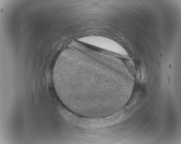 X0000078860037200611271423