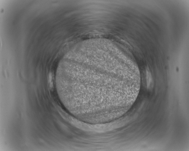 X0000078860038200611271423