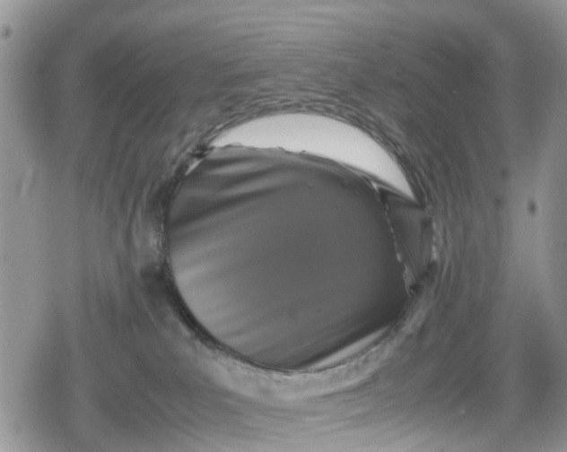 X0000078860039200611271423