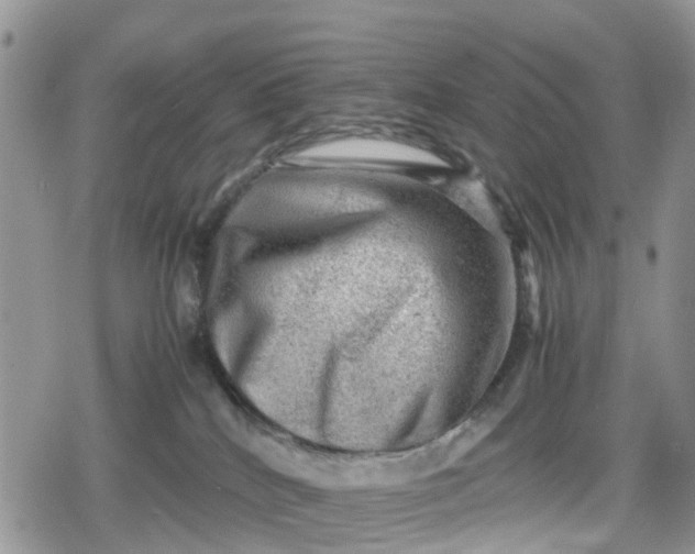 X0000078860040200611271423