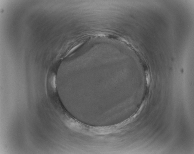 X0000078860041200611271423