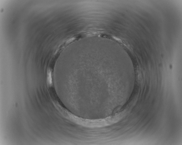 X0000078860042200611271423