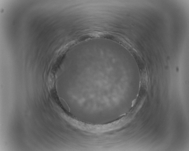 X0000078860043200611271423