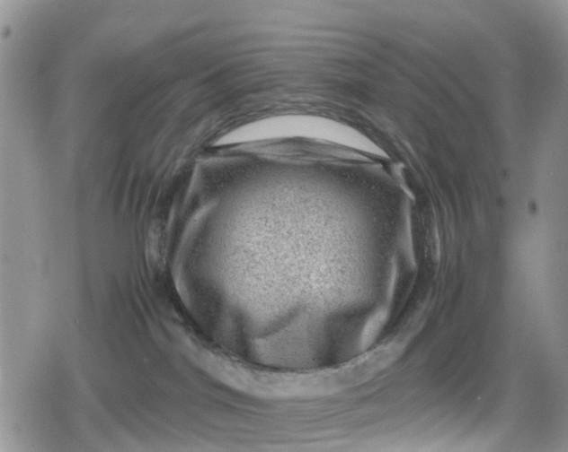 X0000078860044200611271423