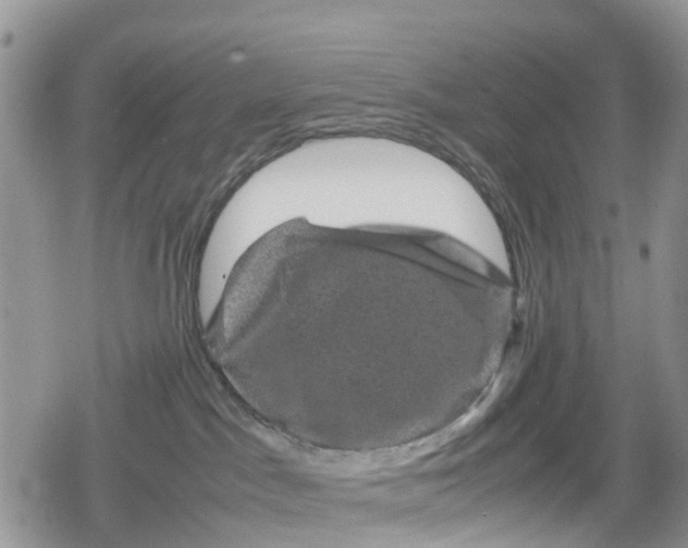 X0000078860045200611271423