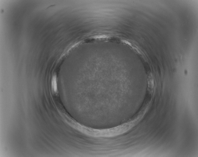 X0000078860046200611271423