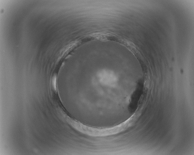 X0000078860047200611271423