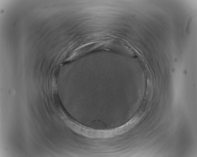 X0000078860048200611271423