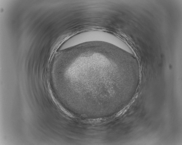 X0000078860049200611271422